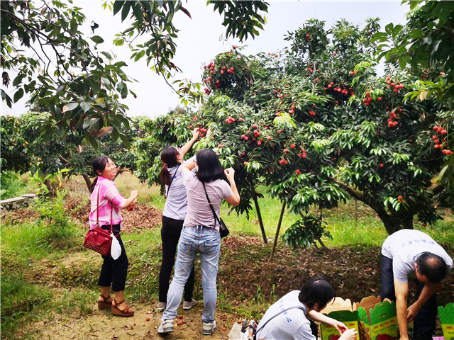 1563431665723064.jpg 5.jpg