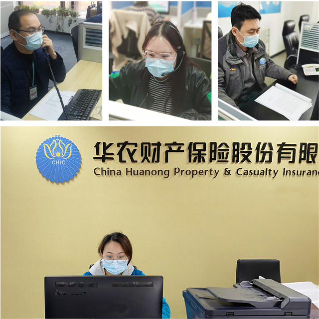 1613784923349030.jpg 华农22.jpg